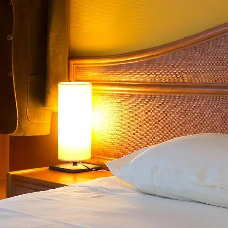 Hotel Roi Soleil Mulhouse-kingersheim Kingersheim