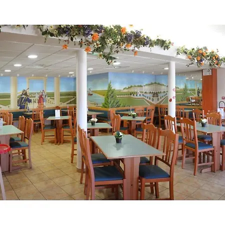 Roi Soleil Mulhouse-kingersheim 2*